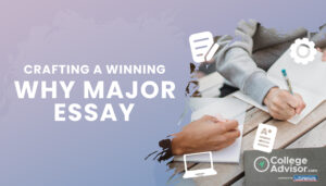 why major essay