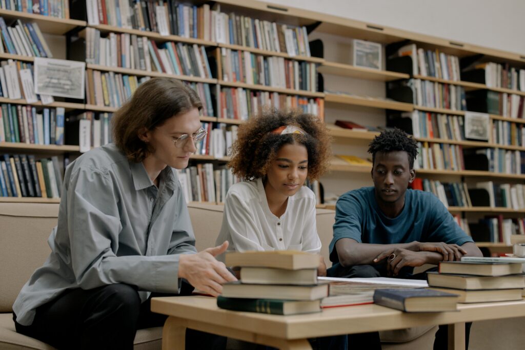 brown supplemental essays
