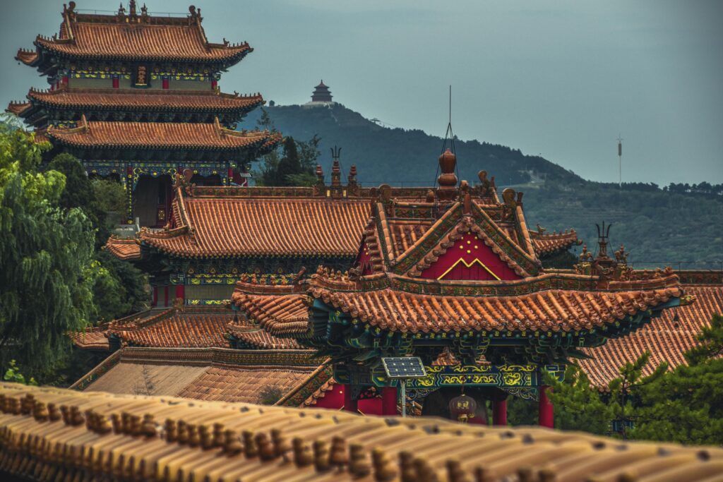 china scholarship council