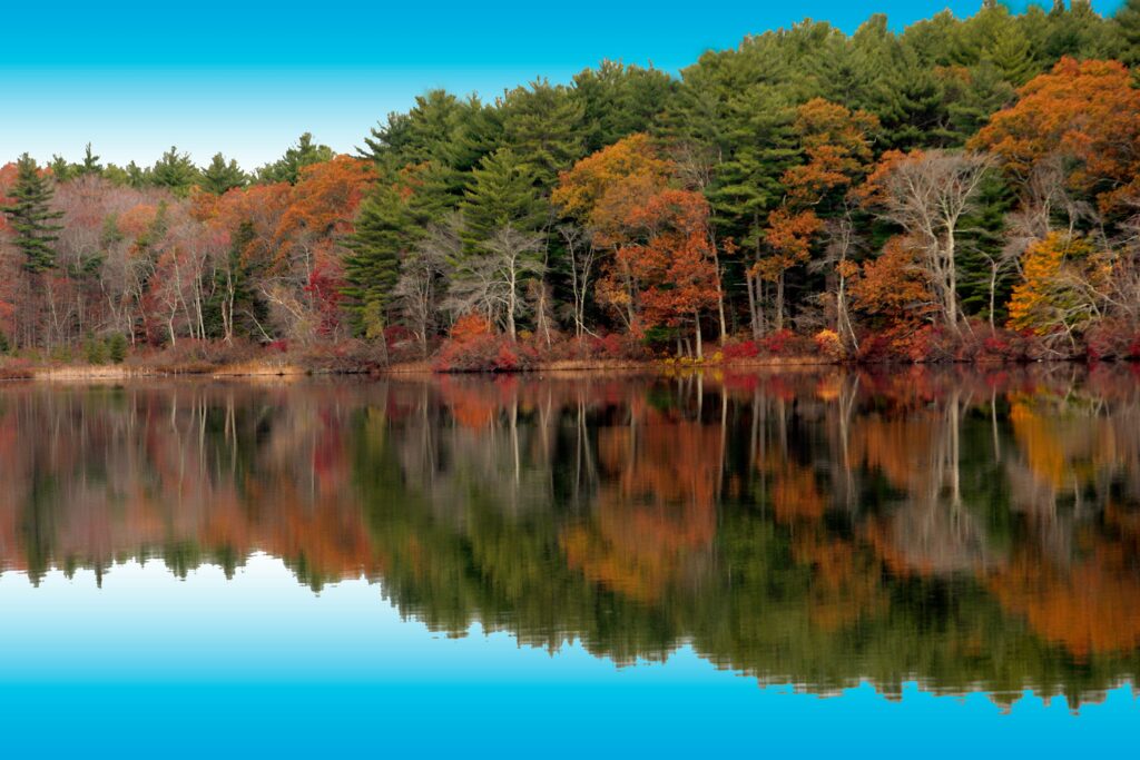 environmental science colleges