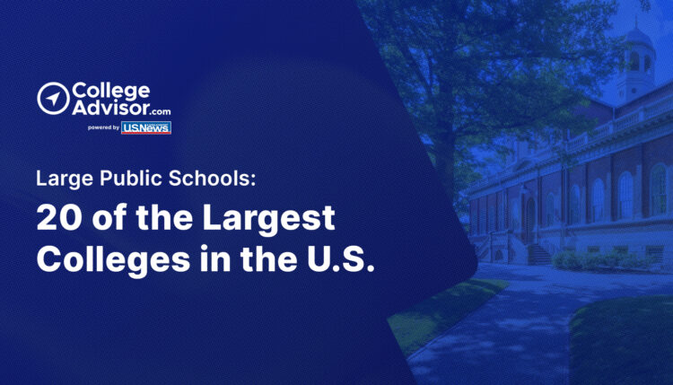 large public colleges